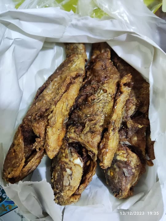 أسماك مما