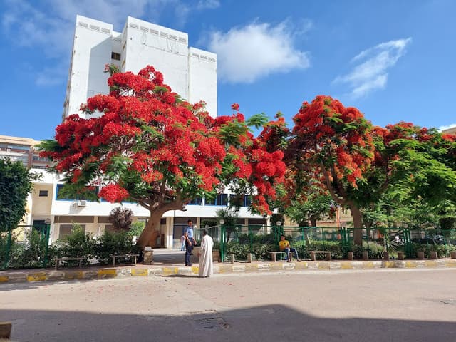 meri hospital