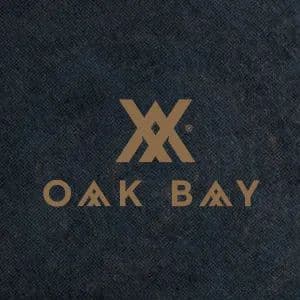 business-logo