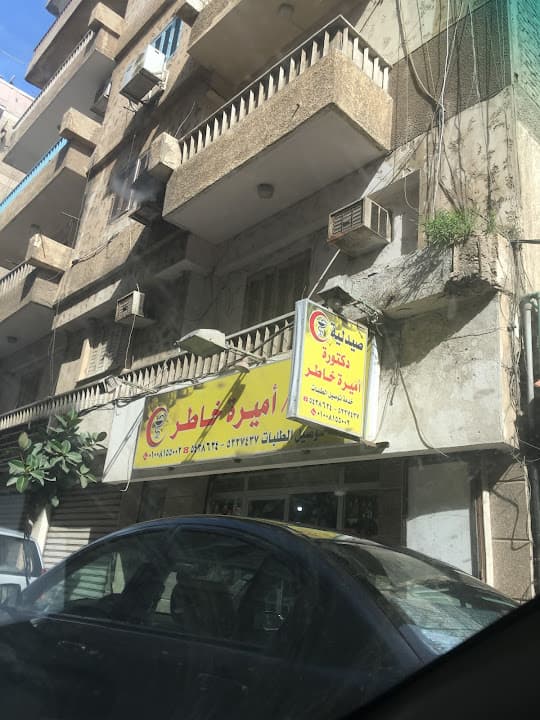 اميرة خاطر