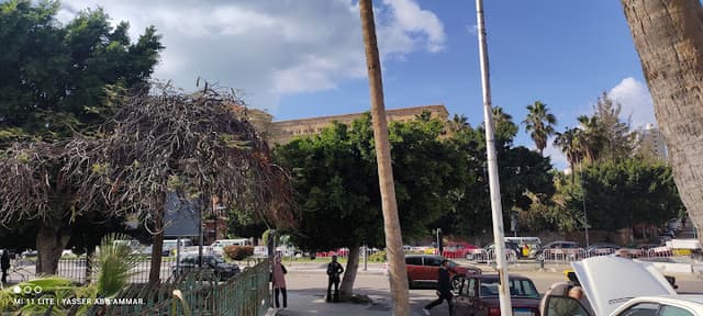 حديقة مستشفى جمال عبد الناصر التذكارية