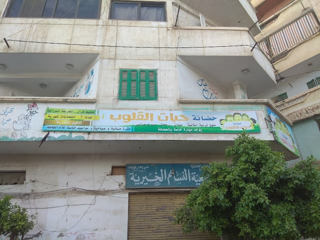 حضانه حبات القلوب