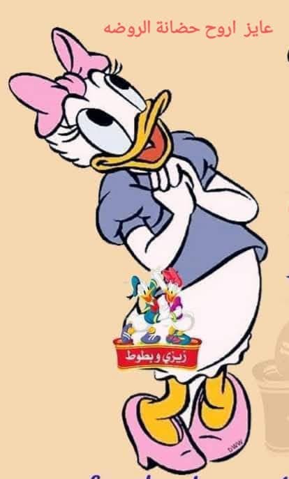 حضانة الروضه