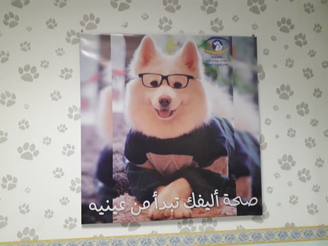 Vision veterinary center