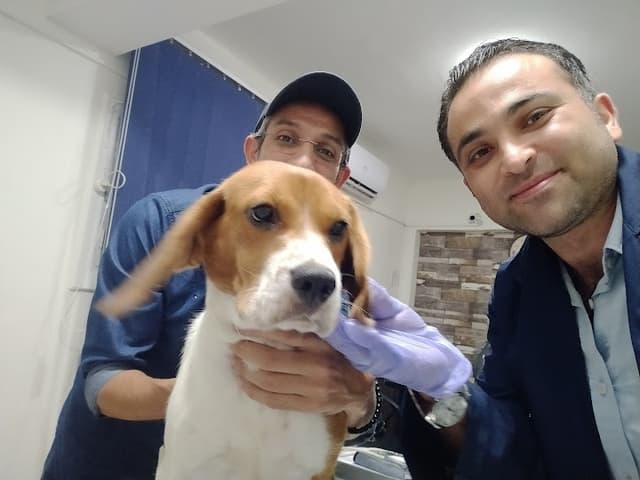 Pets Haven Clinic in Alex عيادة بيطرية بالاسكندرية