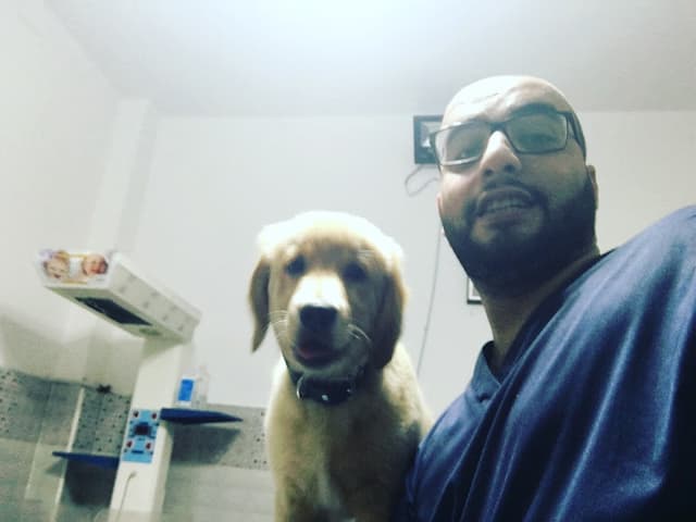 Oodi Vet Clinic Gleem "Dr Faris Elmamlouk"/ عياده اودي البيطريه فرع جليم الاسكندريه" د. فارس المملوك