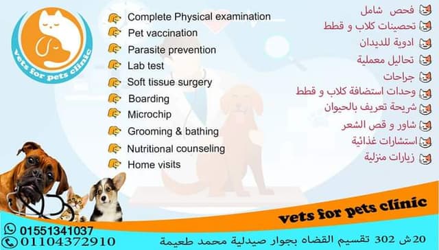 Vets for pets clinic