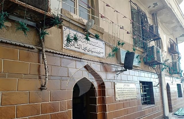 Sidi Mohamed Elshatby