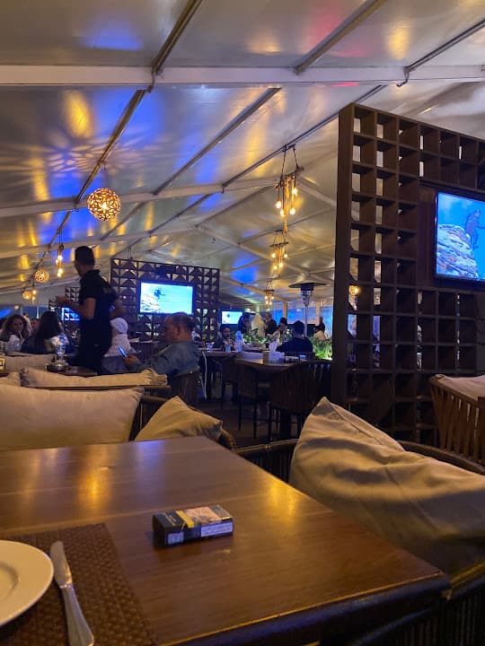 the roof restaurant & cafe