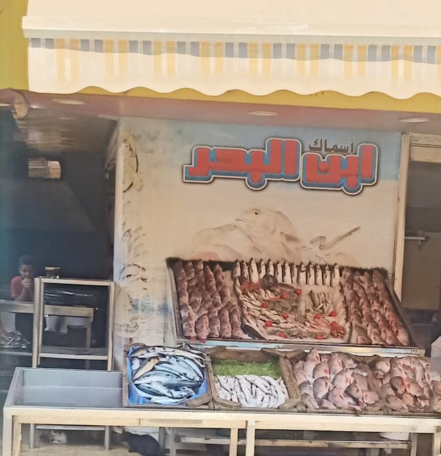 أسماك ابن البحر