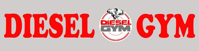 Diesel gym, alqanater al khayria road , al Qalyubia