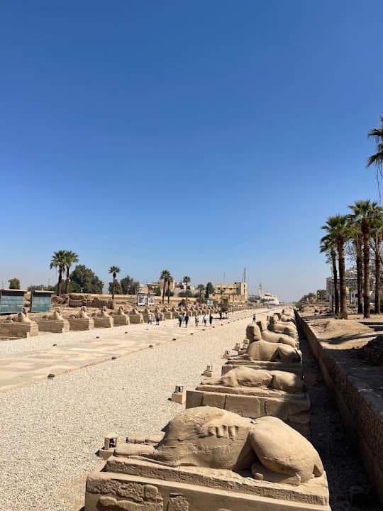 Egypt Direct Tours