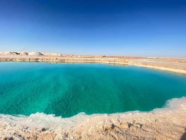 Holiday Tours