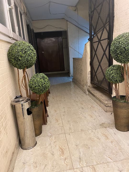 دكتور محمد وجدى