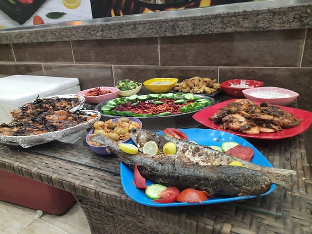 رويال فيش