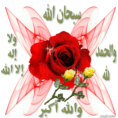 فول احمدمرسى