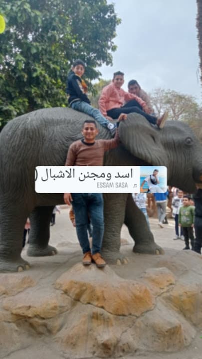 فسفور للمأكولات البحرية