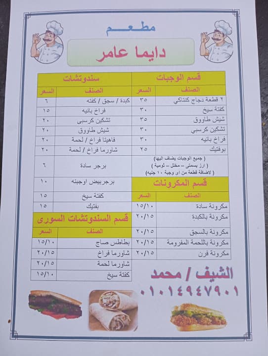 ديما عامر