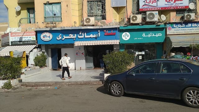 اسماك بحري