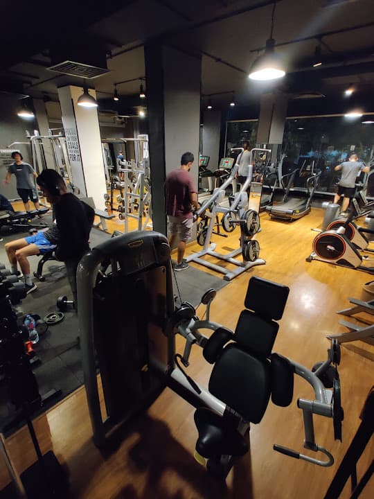 Morph Gym