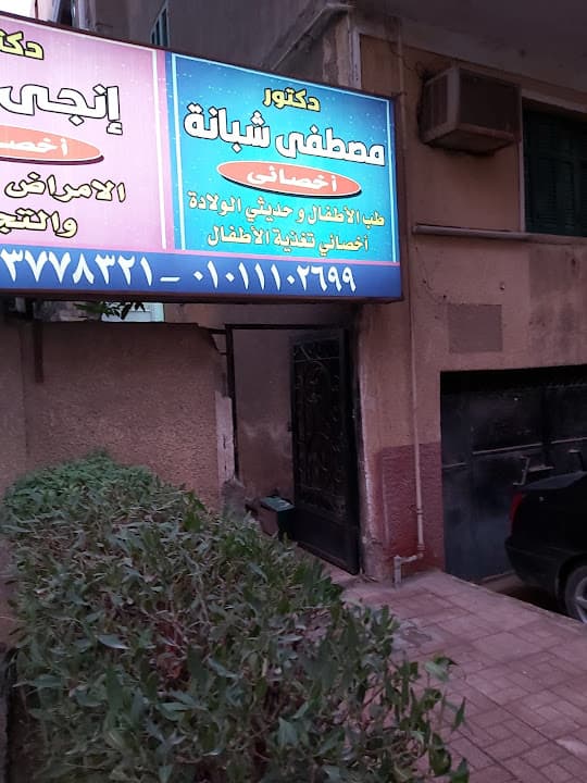 دكتور مصطفى شبانة