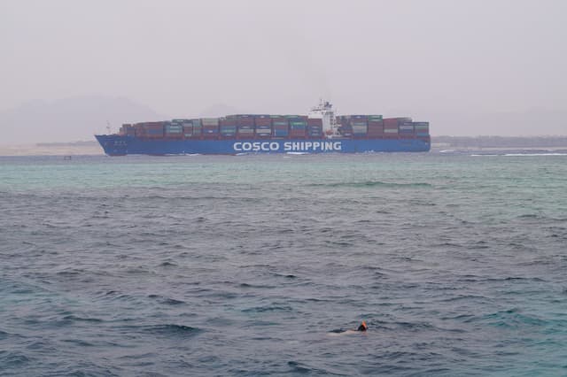 COSCO SHIPPING Lines ( EGYPT )
