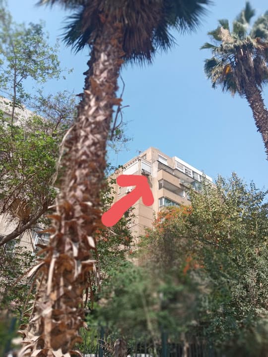 بهاء الدين قراقوش