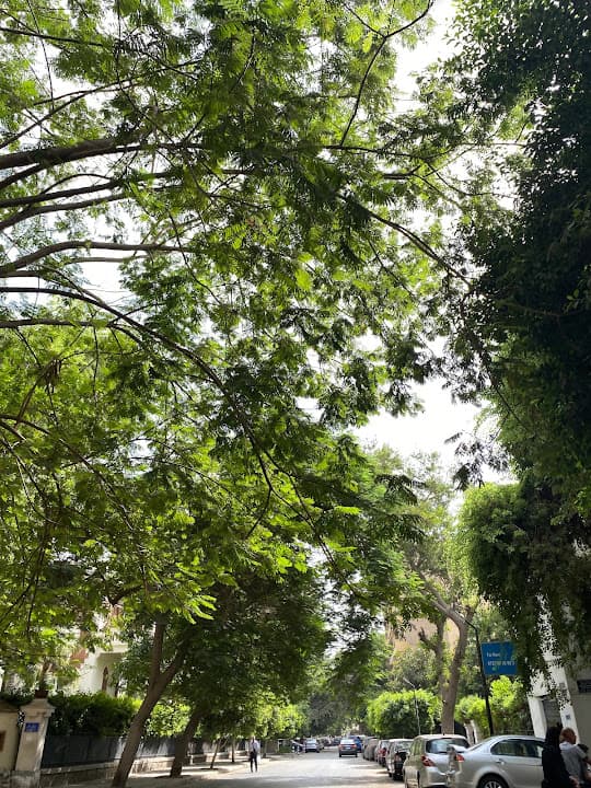 شارع شجرة الدر