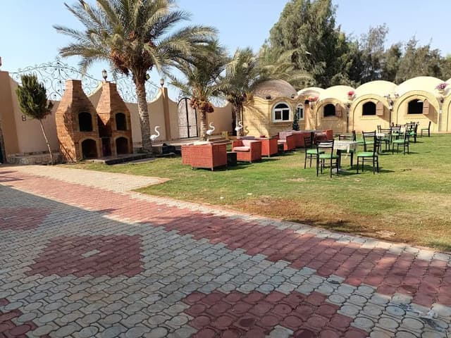 مزرعه ال الفيزي للخيول العربية الأصيلة