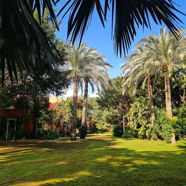 Bayt el mansoreya