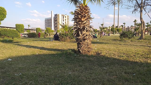 حديقة عامة