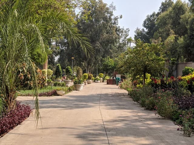 Orabi Park