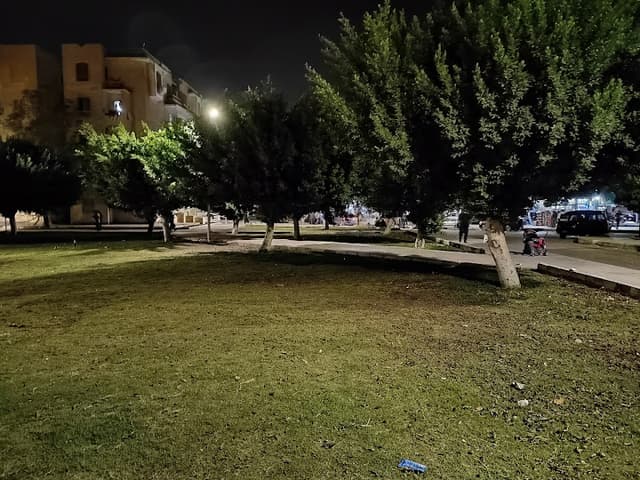 حديقة