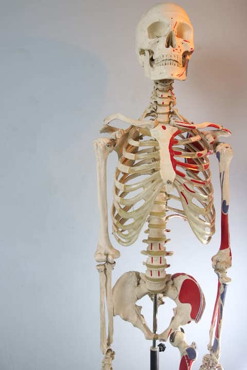 Muscle clinic مركز ماسل كلينك للعلاج الطبيعى