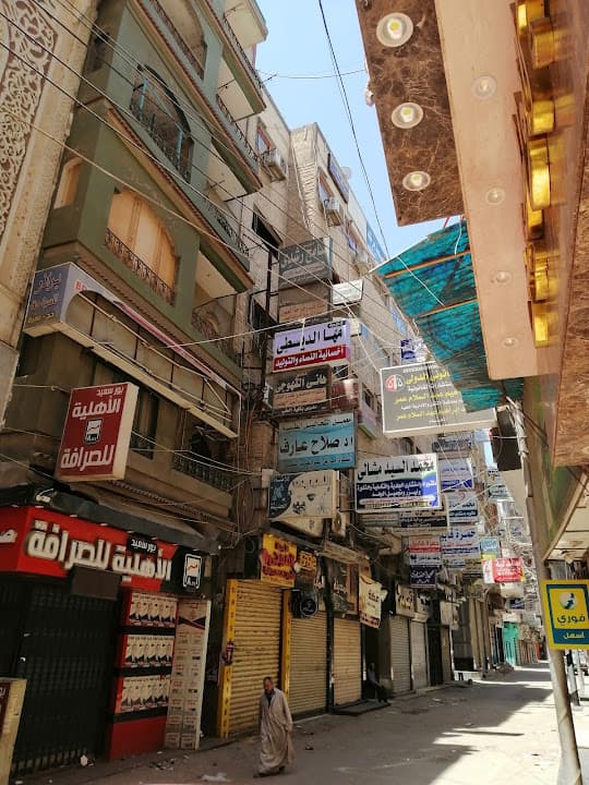 دكتورة مها الديسطي