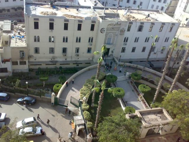 Mansoura University Hospitals