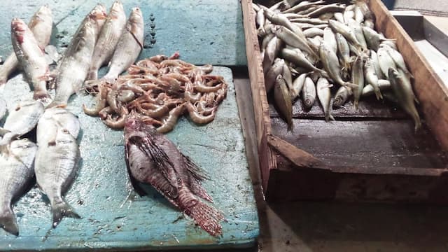 مطعم العوامي