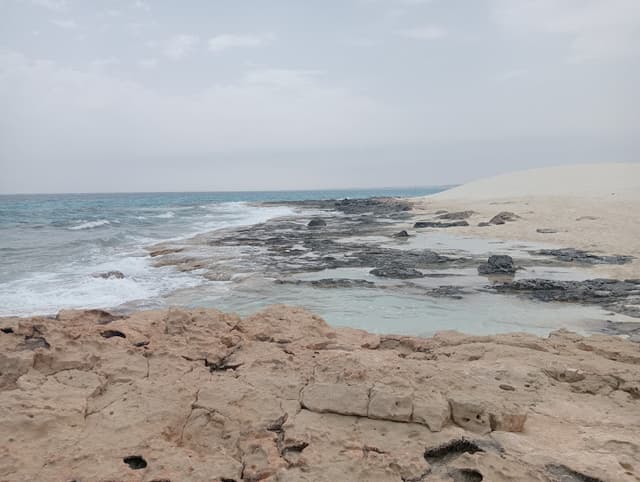 El Harafeesh