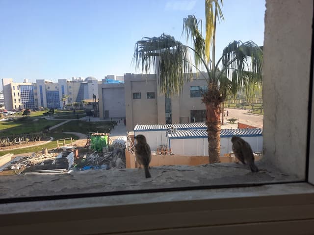 الامانه