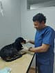 Pet station clinic د. حامد الشريف