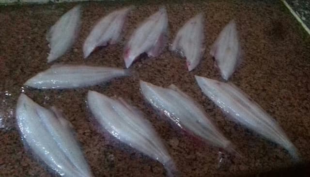 Restaurant and Fish Alayli