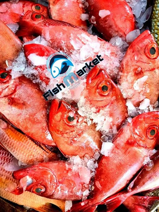 Fish Market suez فيش ماركت السويس