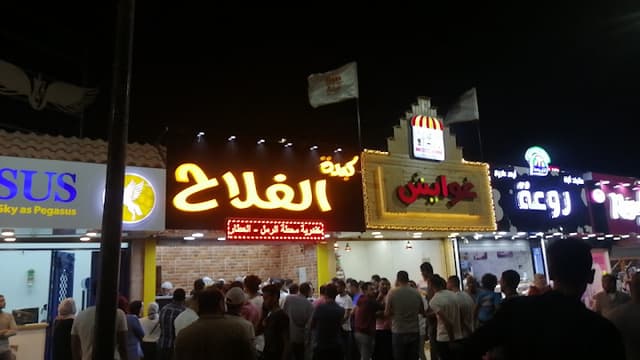 كبده الفلاح