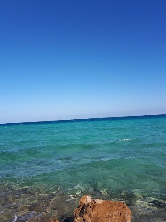 منتجع نجوى
