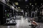 Muscle Fuel Gym
