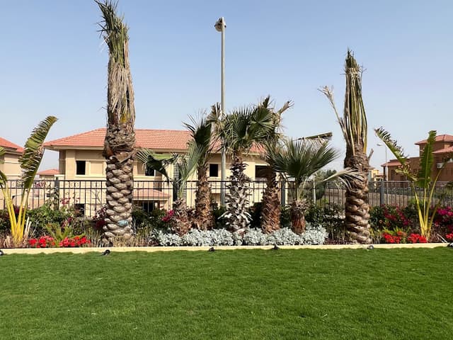 الكرمه 3