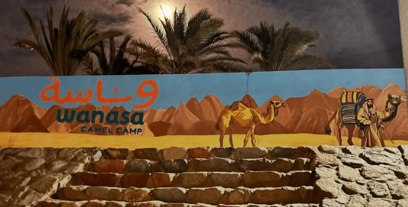 Wanasa Camel Dahab