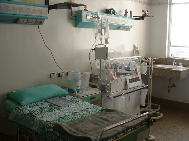 department of urology, faculty of medicine, university of alexandria