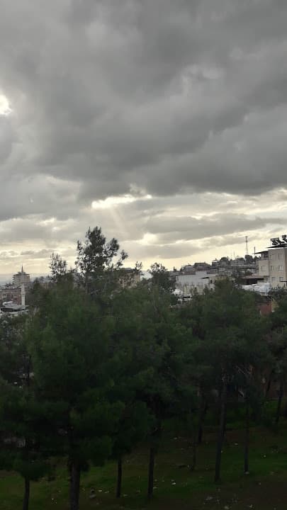 مستوصف الشعراوي الطبي
