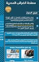 محمد إبراهيم عباس ( محاسب قانونى )